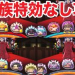 ぷにぷに ｢柴大寿を完全攻略｣4種族で特効なし攻略！【妖怪ウォッチぷにぷに】#874