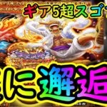 [トレクル]超スゴフェス! まだまだ盛り上がっていこう!!!ギア5実装テンションMAX第1弾で遂に!!!!?[OPTC]