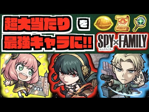 【SPY×FAMILY】超当たりキャラを更に強く!!!『ロイド』『ヨル』『アーニャ』《全3キャラおすすめのわくわくの実》カスタム候補多くて個性出そう!!【ぺんぺん】