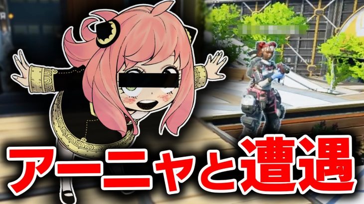 APEXしてたらSPY×FAMILYのアーニャとマッチしたんだけどww / Apexlegends　#shorts