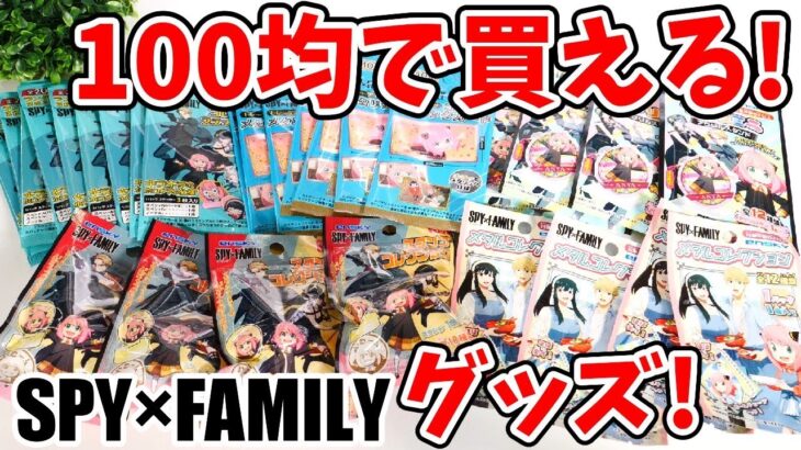 【SPY×FAMILY】100均で買えるスパイファミリーグッズがやばい！全部買ってきたので開封する！