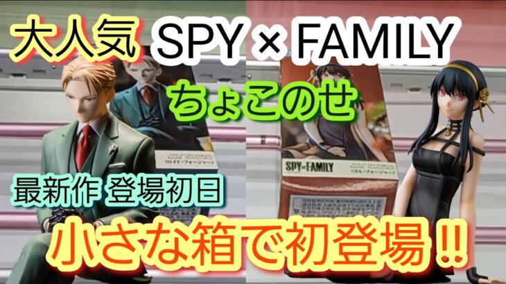 回遊館養父店さんで、大人気のSPY ×FAMILY ちょこのせプレミアムフィギュア ヨル・フォ―ジャ―、ロイドを登場初日に行って獲ってきました！ ＃スパイファミリー ＃クレーンゲーム ＃回遊館養父店