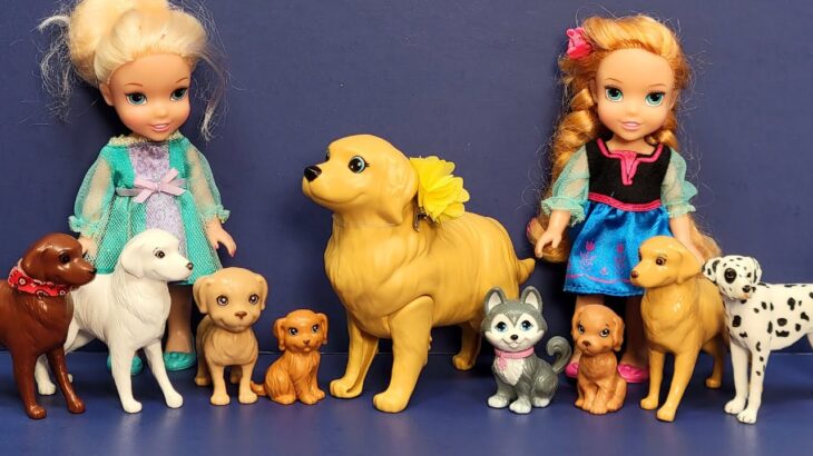 Dog spa ! Elsa & Anna toddlers – Barbie dolls #grooming