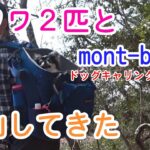 チワワと登山してきた お花見登山 モンベル mont-bell ドッグキャリングパックＬ 1133231 ドッグキャリーバッグ  ゆめななチャンネル