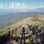 【登山】富士山と駿河湾を望む絶景低山ハイク・金冠山と達磨山