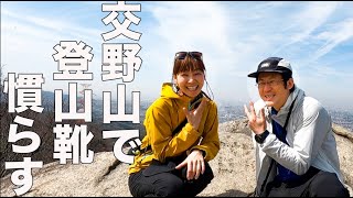 【あずぱんの靴慣らし登山】津田〜私市駅生駒山縦走でのんびりと登山！　　　美しすぎる景色を堪能した！