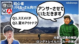 【登山初級者さん向け】Q&A『スズメバチ』『真夏のアウトドア』【元店員解説】