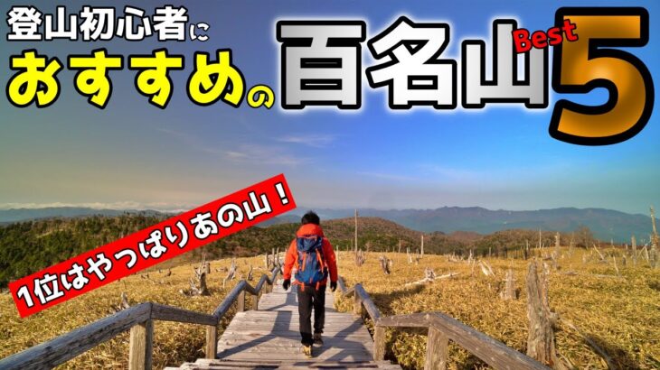 【関東周辺】登山初心者におすすめしたい「日帰り百名山」ベスト５！総合的に選んでみました
