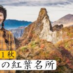 【紅葉登山根子岳】阿蘇にあるギザギザした岩峰が特徴的な山！そこから見える景色とは、、、！王道の大戸尾根コース！