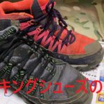 【登山靴】NIKE ACG TAKAO GTX レビュー