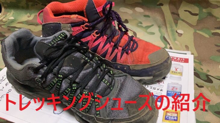 【登山靴】NIKE ACG TAKAO GTX レビュー