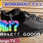 【登山ギア紹介】WORKMANアクティブハイク　～コスパ最強のハイキングシューズを紹介します～