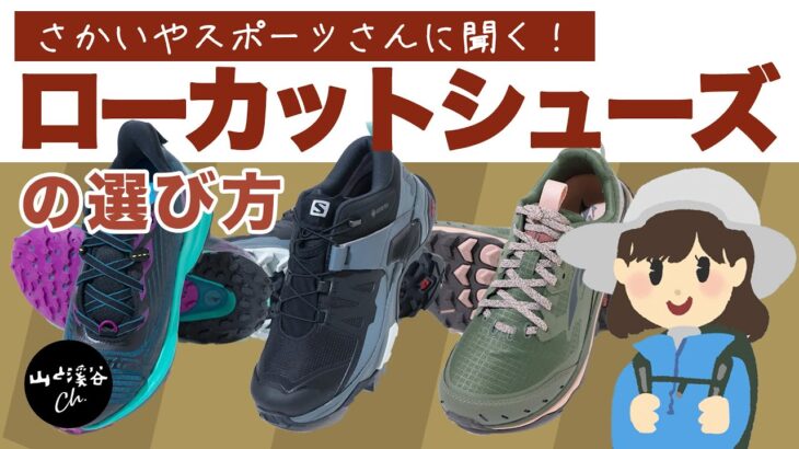 【登山用具】ハイキングにぴったりなローカットシューズの選び方