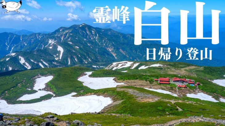 【登山】初夏の霊峰「白山」に登る（2022）