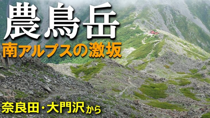 【登山体験】農鳥岳、南アルプスでも屈指の激坂に挑んできました！／奈良田・大門沢からの登山道全部見せます！／2022/7