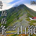 【テント泊登山】夏の白峰三山縦走･北岳登頂編｜高山植物と富士山の絶景を満喫！日本第二位の頂を越えて北岳山荘へ＜南アルプス/4K映像＞