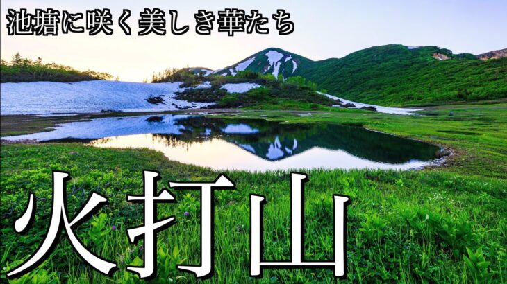 【テント泊登山】花咲く夏の火打山｜笹ヶ峰から高谷池ヒュッテを経て高山植物咲き乱れる日本百名山の頂へ＜妙高連峰/4K映像＞