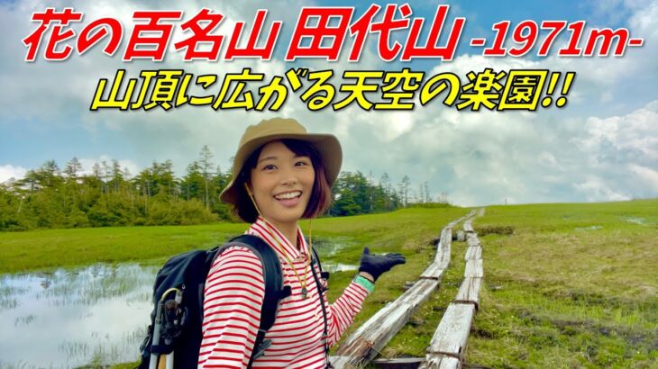 【花の百名山 田代山】尾瀬の山を縦走！田代湿原の絶景＆民宿滞在記！