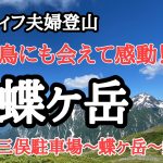 【夫婦登山】アラフィフ夫婦登山　蝶ヶ岳！北アルプス穂高連峰の絶景と、雷鳥に逢えて感動の山行。三俣駐車場から蝶ヶ岳、蝶槍ピストン