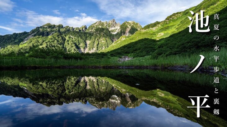 【池ノ平・テント泊登山】静寂の北アルプスを歩く、真夏の水平歩道と裏剱。[3泊4日・黒部峡谷〜仙人池]