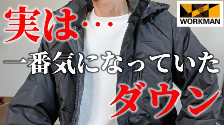 【ワークマン】「2022 秋冬」実は今期一番気になっていた「洗えるフュージョンダウンシームレスワークジャンパー」購入品レビュー！！