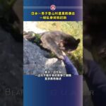 日本一男子登山时遭黑熊袭击，一顿乱拳将熊赶跑