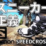 【登山靴】白スニーカーは正義！サロモンスピードクロス６レビュー