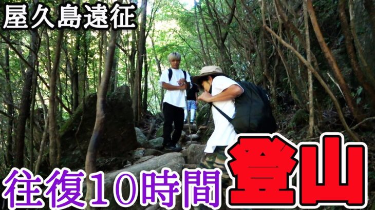 往復10時間！？超巨大な縄文杉までの登山が過酷すぎた…