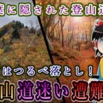 紅葉に隠された登山道…秋の日はつるべ落とし！谷急山道迷い遭難事故をゆっくり解説 #111