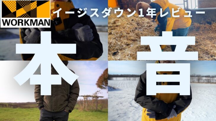 【ワークマン】イージスダウンを外気-20℃で1シーズン使い倒した本音