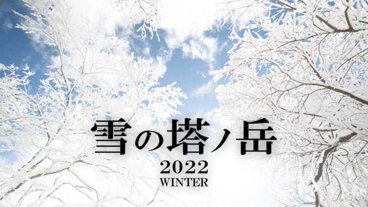 【日帰り登山】雪の塔ノ岳 2022 WINTER / Hyperlite Mountain Gear SUMMIT PACKで登る