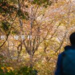 【登山】東京・檜原村の静かな自然を楽しむ尾根歩き｜浅間尾根縦走コース