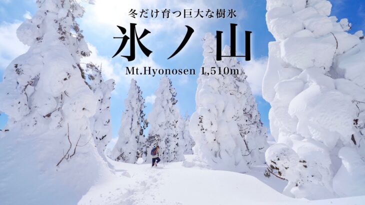 【雪山登山】冬だけの絶景、巨大なスノーモンスター｜氷ノ山