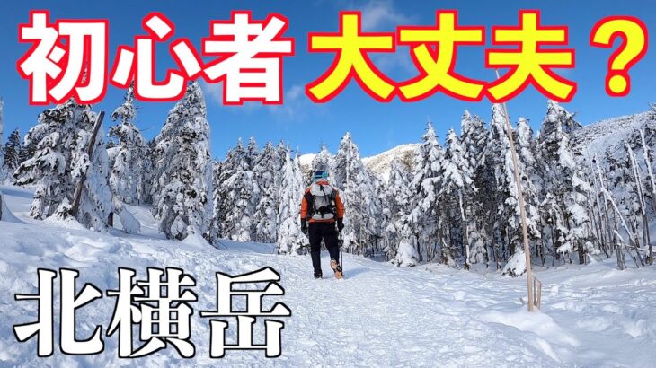 【雪山】初心者メタボが北横岳に挑戦！厳冬期の絶景と暴風の洗礼