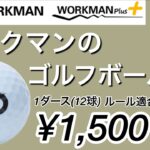 ワークマンのゴルフボール試打計測　1ダース¥1500 WORKMAN ぶっ飛び！