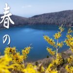 【登山】日帰りで満喫できる春の韓国岳！マンサクが見頃です♪