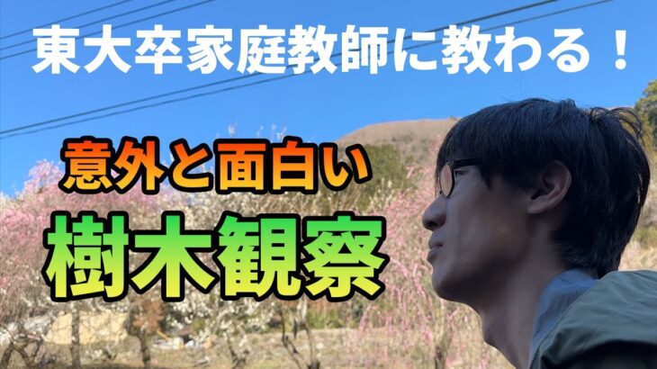 東大卒家庭教師に教わる！意外と面白い樹木観察【コラボ登山・幕山】