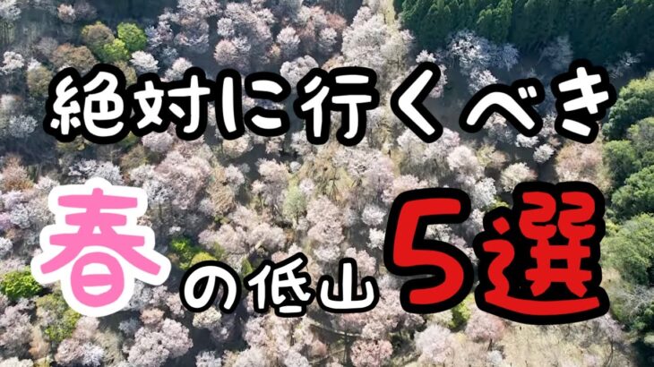 春のおすすめ低山５選【登山】初心者でも楽しめる山を揃えました