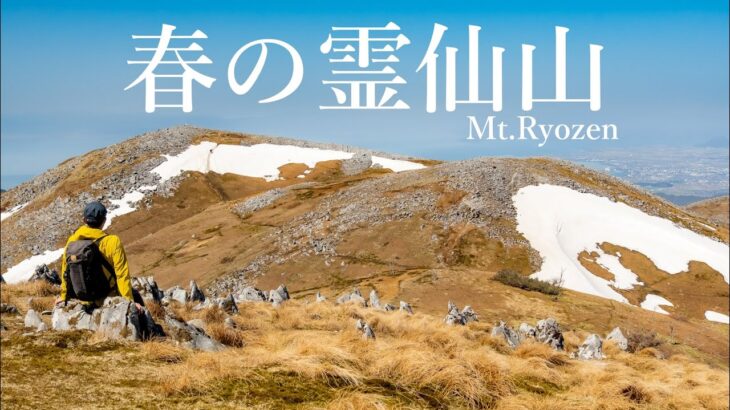 【登山】福寿草と残雪のカルスト台地を歩く春の霊仙山