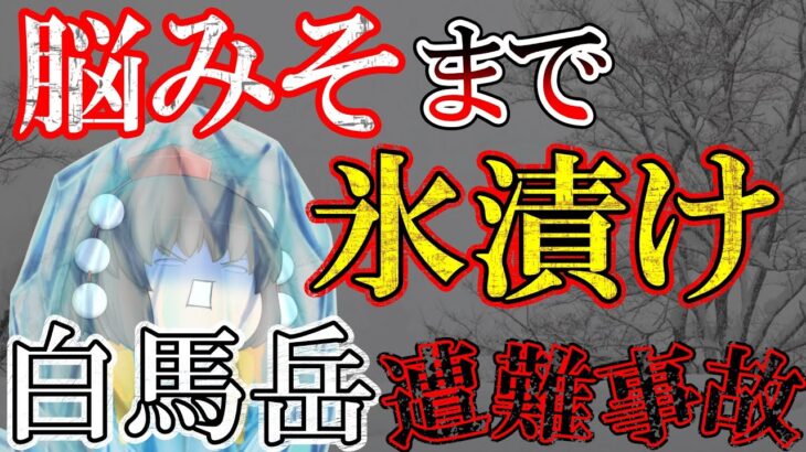 【ゆっくり解説】防寒具はリュックの中のまま…氷漬けになっていた遭難者【2012年 白馬岳遭難事故】