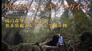 【屋久島トレッキングガイド②】雨の森歩きを楽しむ！基本装備と屋久島でレンタルできる装備についてご紹介。