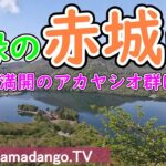 【新緑おすすめ登山】アカヤシオ群生が満開の赤城山　～黒檜山から篭山までの縦走登山～