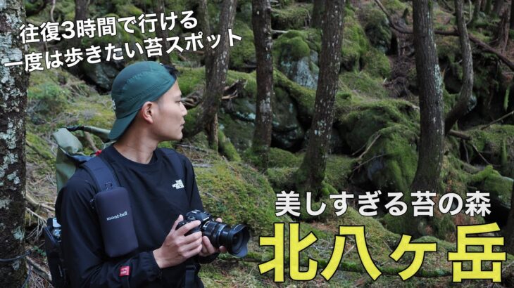 【登山初心者こそおすすめ⁉︎】往復3時間の美しすぎる苔の森‼︎北八ヶ岳は白駒池とにゅうへ！