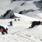 標高3,000メートルの雪山で登山者たちを出迎えたのは・・・？言葉を失う猫との遭遇