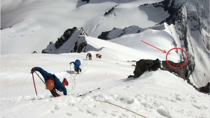 標高3,000メートルの雪山で登山者たちを出迎えたのは・・・？言葉を失う猫との遭遇