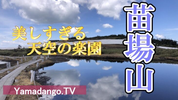 【日本百名山】苗場山登山～池塘が広がる山頂はまさに天空の楽園～