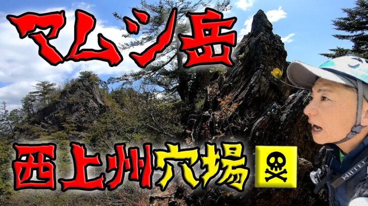 【群馬登山】マムシ岳～西上州の激穴場！激マニア感バッチリ！～