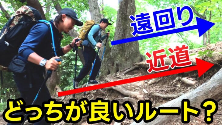 プロが教える登山テクニック～初心者でもできる縦走のコツ～高尾山縦走コース