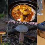モンベルNew登山靴でタマゴタケ豊作 ／ アケボノアワタケのハヤシライス 20210828