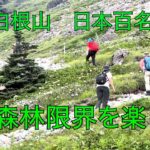 日光白根山　下山は土砂降りでしたが、雨対策についていろいろ考えさせられました。中でも雨が染み込まない登山靴は何よりも大事だと感じました。風がなければトレッキング用の超軽量傘がおすすめですね！